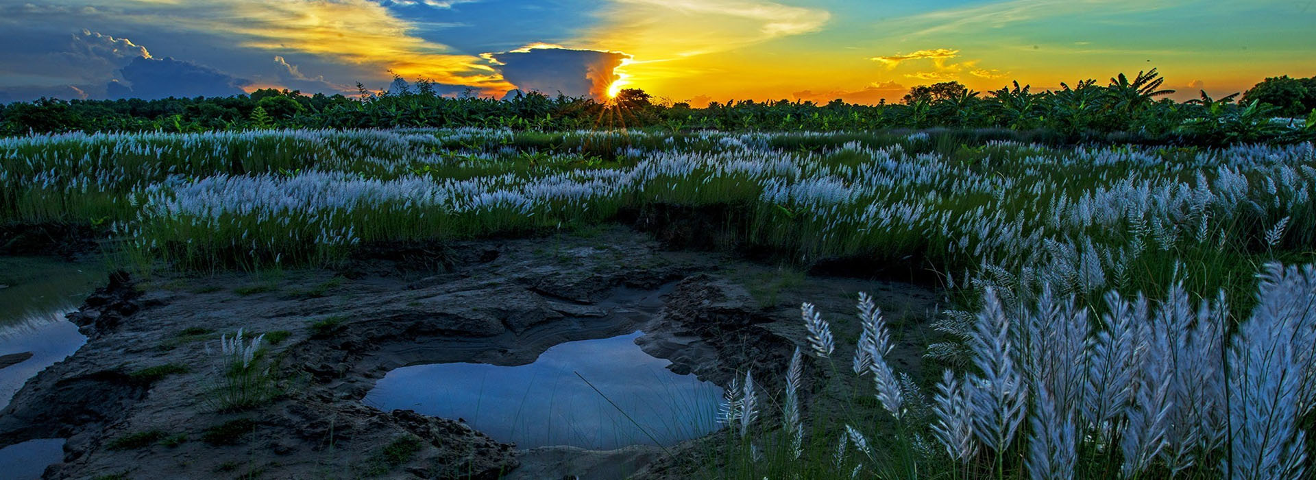 Splendor of Assam Kaziranga