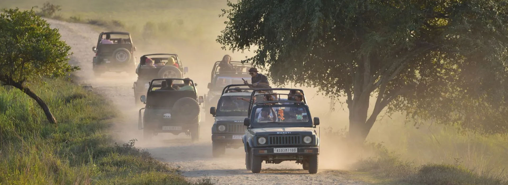 Kaziranga Rhino Tour