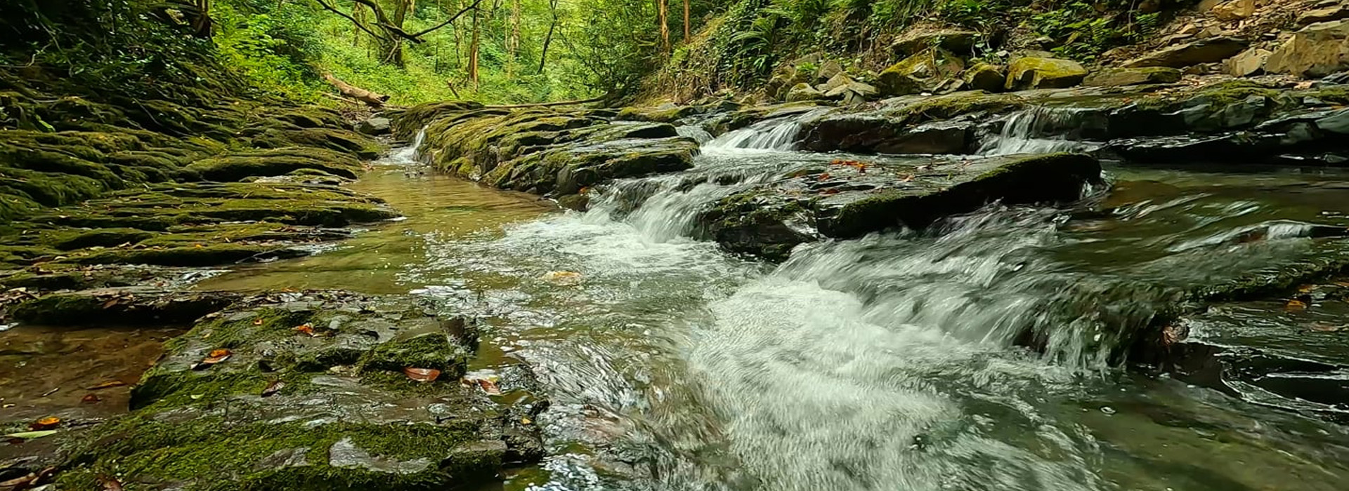 Magical North East Getaway – Meghalaya Special